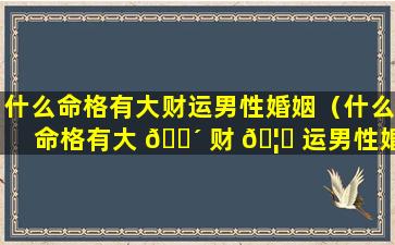 什么命格有大财运男性婚姻（什么命格有大 🌴 财 🦋 运男性婚姻好）